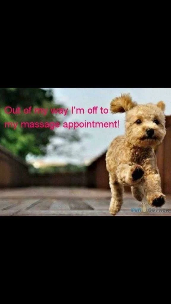 Incalls & Outcall Massage Therapist