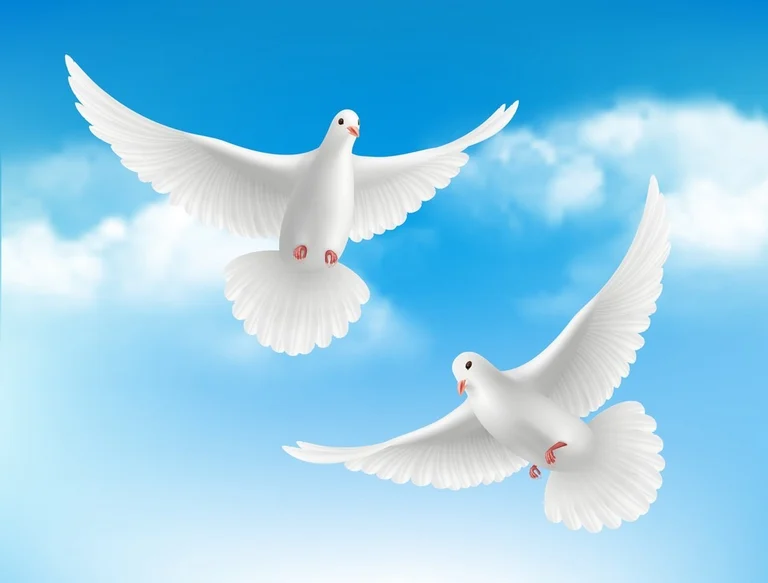 European Remedial Health Clinic- Massage Therapy