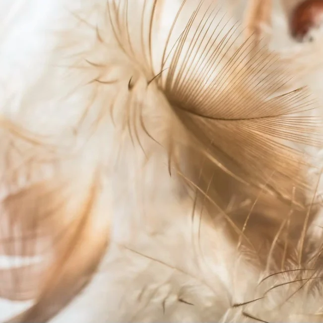 Professional Indian Massage In Harrow, London