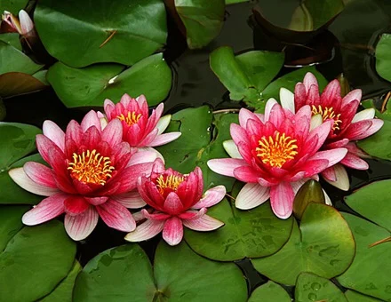 Relaxing Full Body Massage