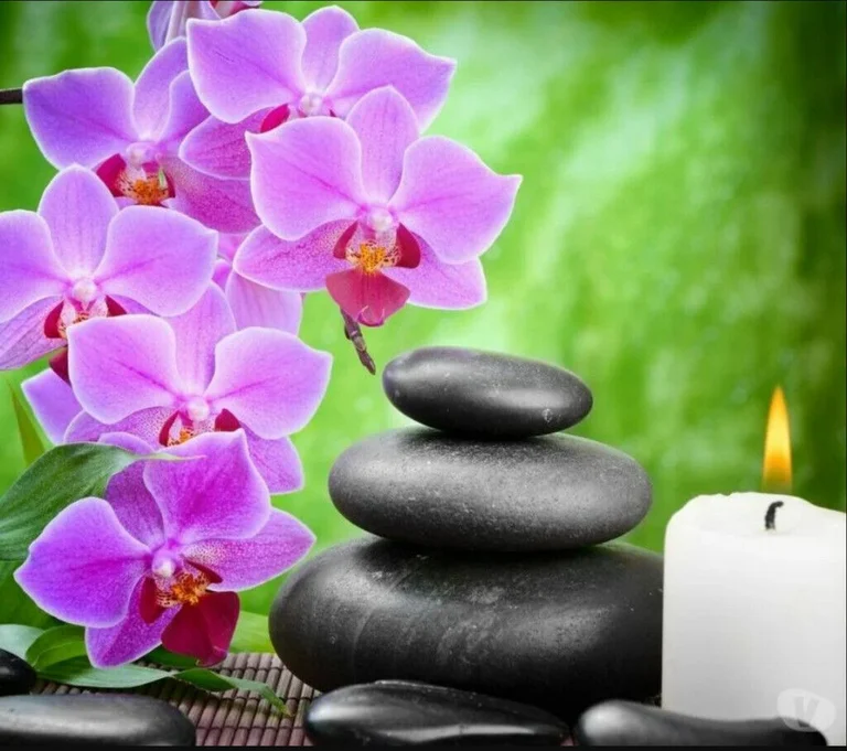 Professional Massage in Swansea By Qualified Massage Therapists