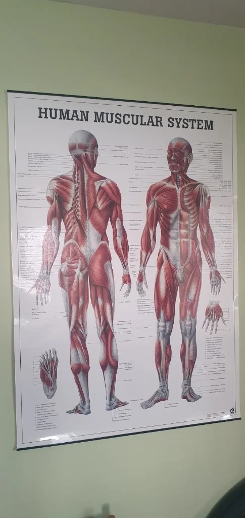 Sports (Deep Tissue) & Holistic Massage Therapist