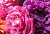 Deep Tissue & Relaxing Full Boby Massages In Worcester, Worcestershire