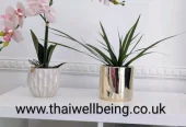 Thai Wellbeing Massage Wellness Gravesend, Kent