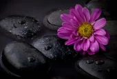 Jasmine Spa - Full Body Massage Treatments In Nottinghamshire
