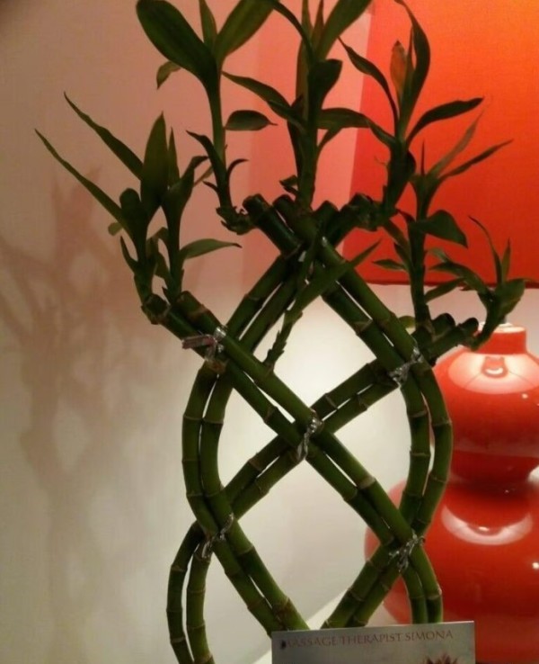 The Zen Chamber Massage Therapy In Waterlooville Centre