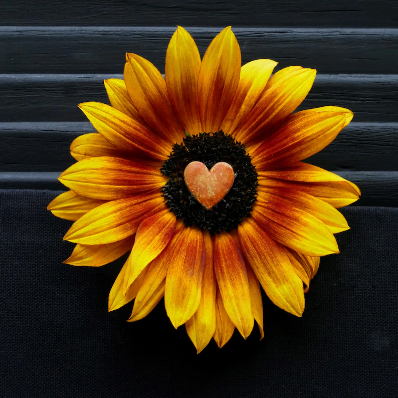 Healing Massages Nails From £10 Bournemouth, Dorset