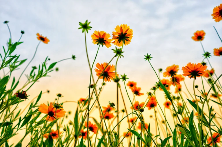 Chinese Massage Worthing | Massage West Worthing, Sussex