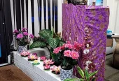 Chaba Thai Spa Massage - Westhoughton, Manchester