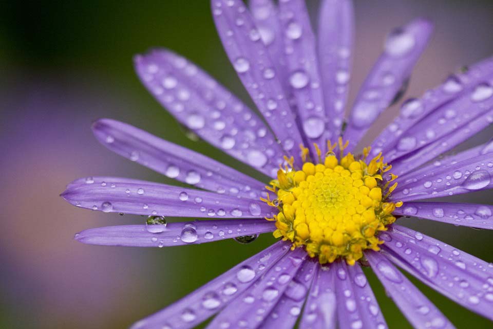 Chinese Relaxing Massage - Needham Market, Suffolk