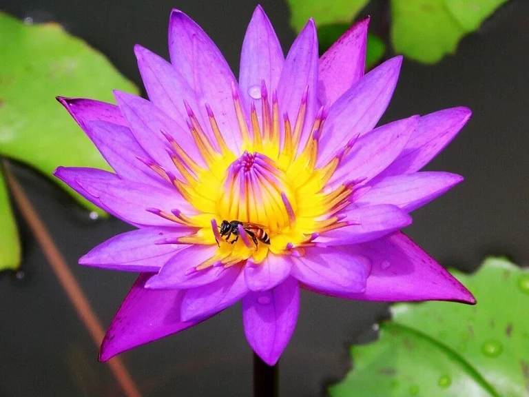 A Thai Massage Carterton, Oxfordshire