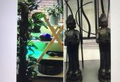 Antrim Massage & Body Fixed £50 Hr - County Antrim