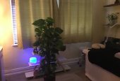 Antrim Massage & Body Fixed £50 Hr - County Antrim