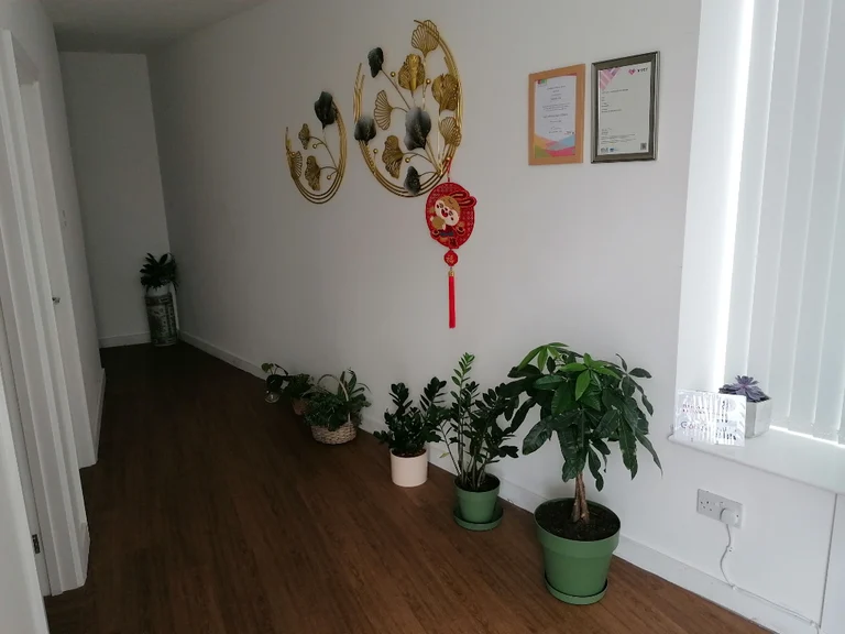 Hot Stone Massage Near Me & Ttranquil Environment