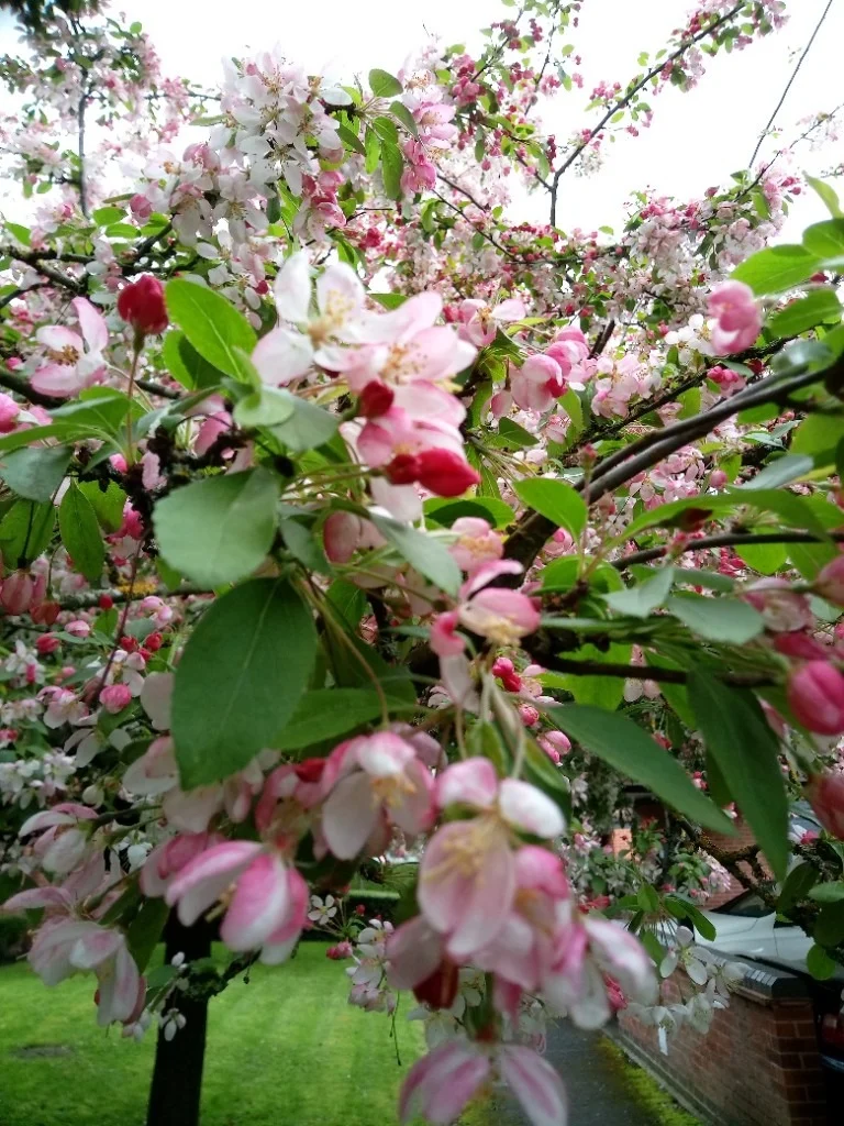 New Massage Telford, Shropshire