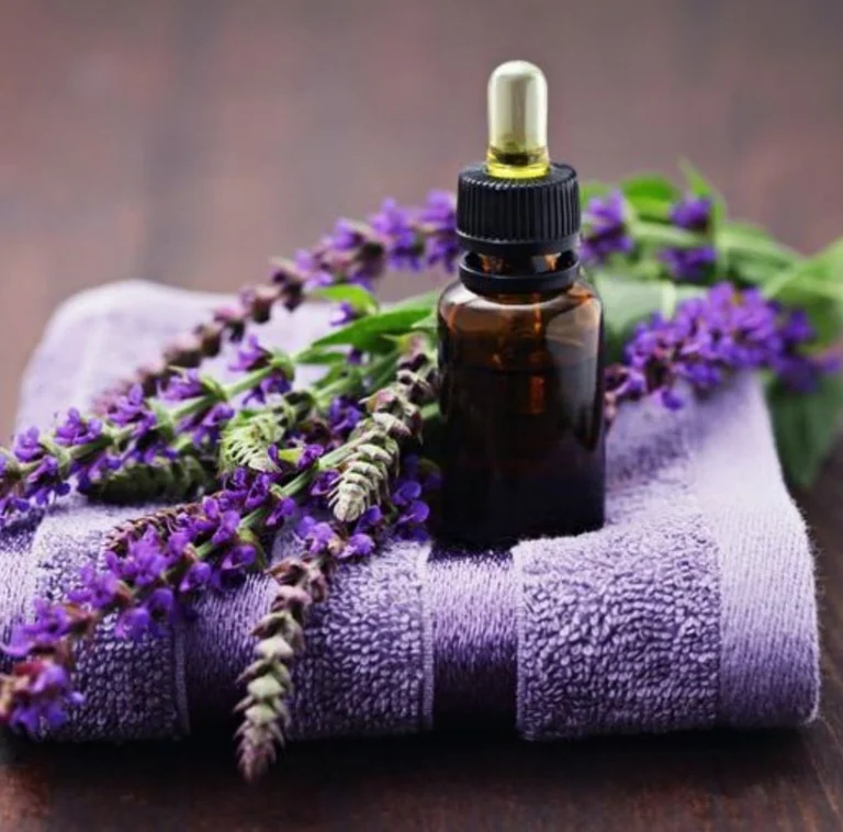 Massage Camden |  Massage Incall Only In Camden, London