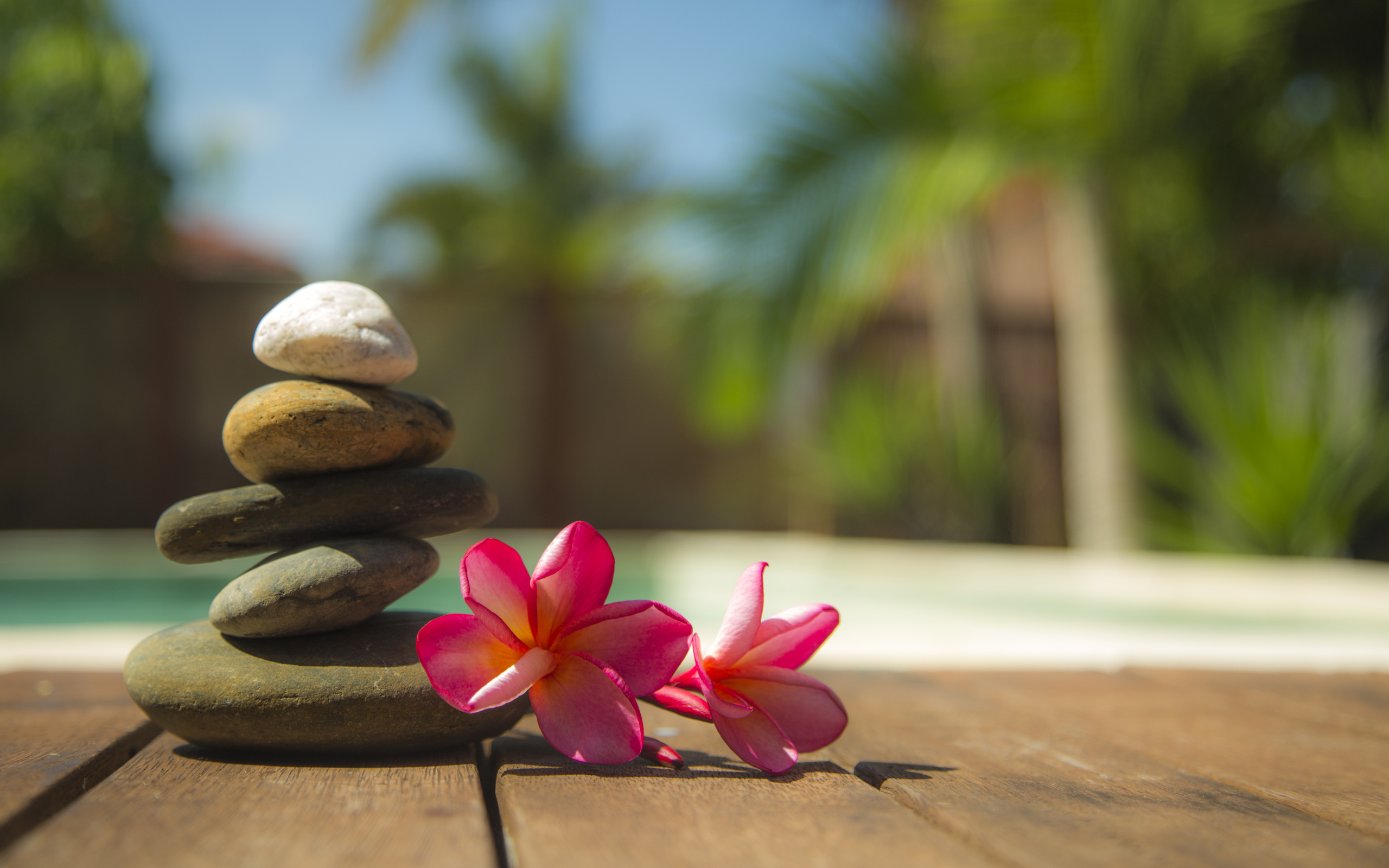 Massage Sheerness | Thai Massage Aromatherapy - Sheerness, Kent