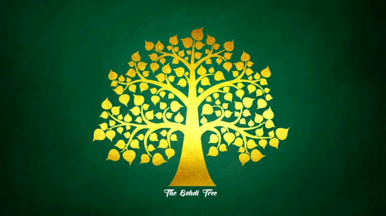 Prettie Thai Massage Free Visitor Car ParkG49JT - City Centre, Glasgow