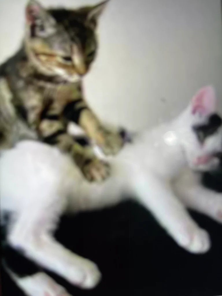 Relaxing Massage Stockport Offerton - Stockport, Manchester