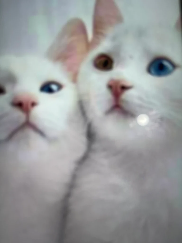 Relaxing Massage Stockport Offerton - Stockport, Manchester