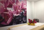 Renkang Chinese Massage In Hull, East Yorkshire