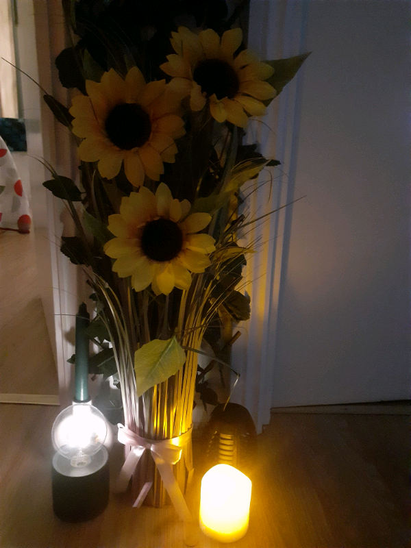 Professional Oriental Masseuse Leytonstone, London