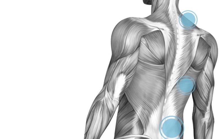 Gay Muscular Male Massage Therapist In Manchester - 10+ Yrs Experience