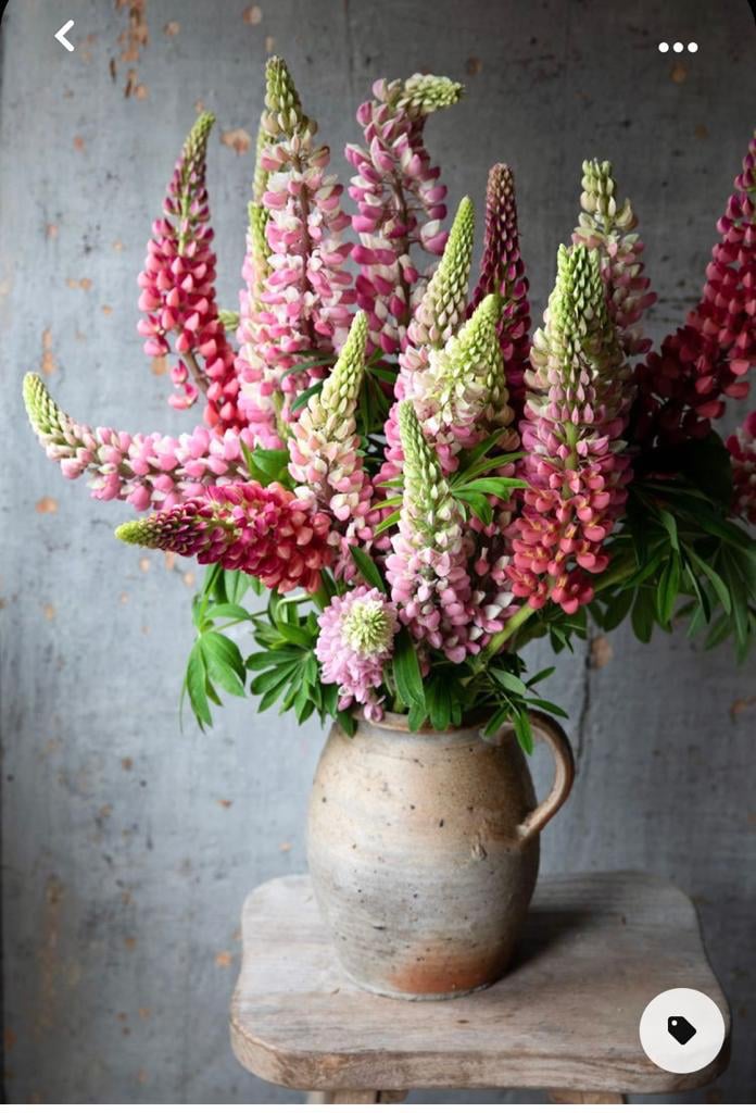 Full Body / Swedish Massage In Oxford OX1