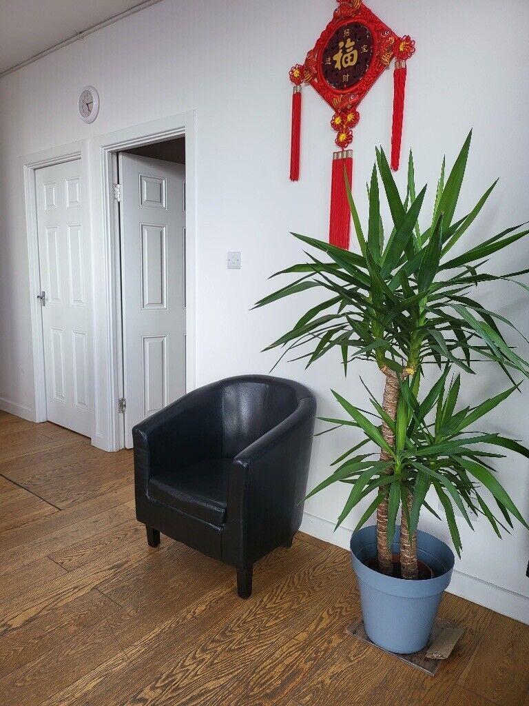 Green Health Massage In Centre Bath, Somerset