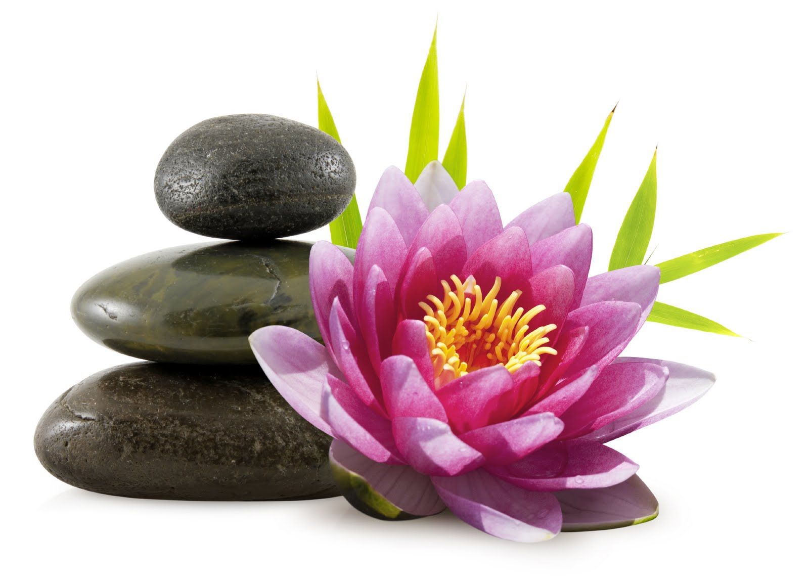 Thai Massage Contact Wawa Burnley BB11, Lancashire