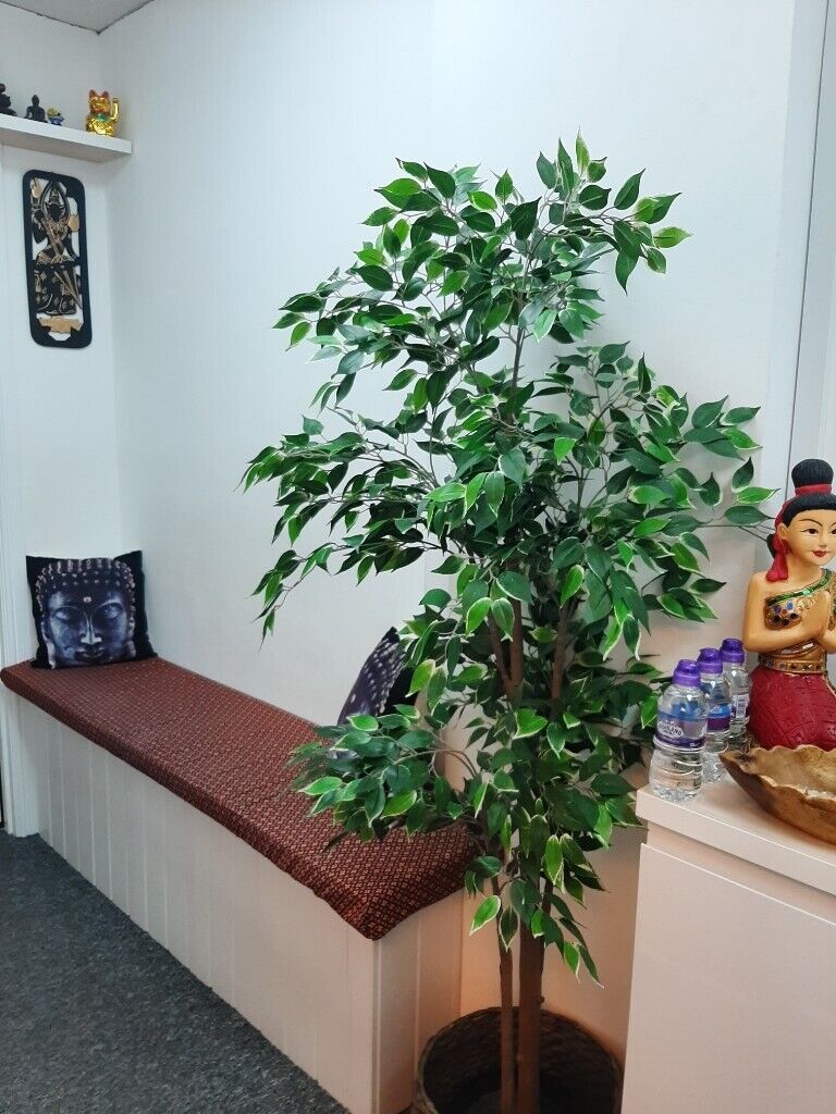 Authentic Thai Massage In Edlington, South Yorkshire