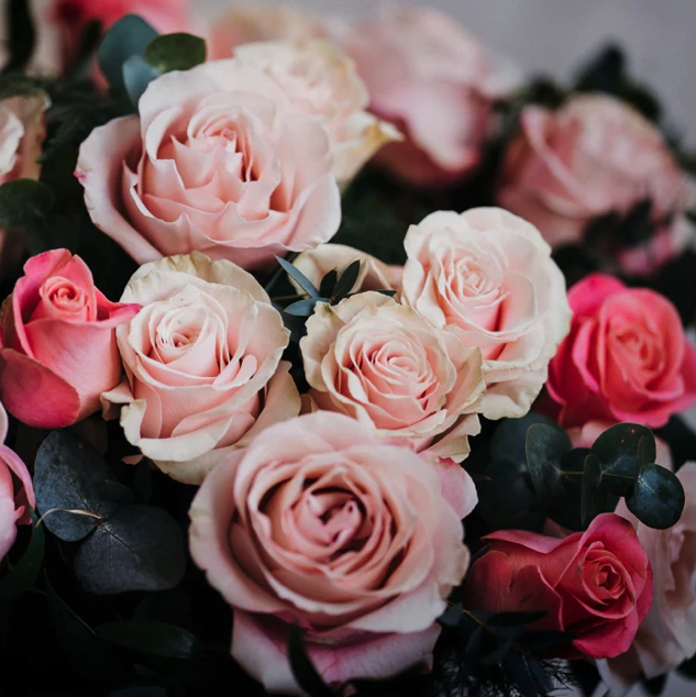 New Indian Full body Relaxation Massage By Indian Girls East London, London