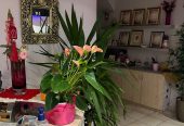 Asian Professional Massage Tadworth, Surrey