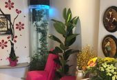 Asian Professional Massage Tadworth, Surrey
