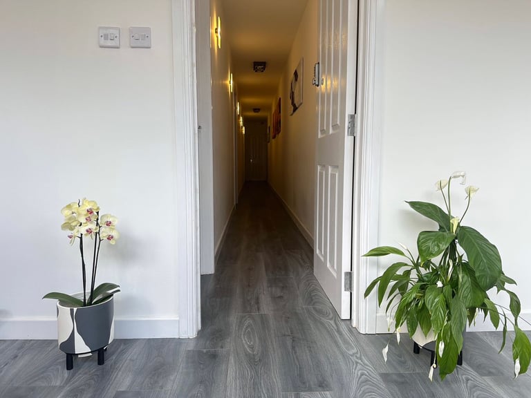 New Opening Chinese Massage In Woking Town Centre