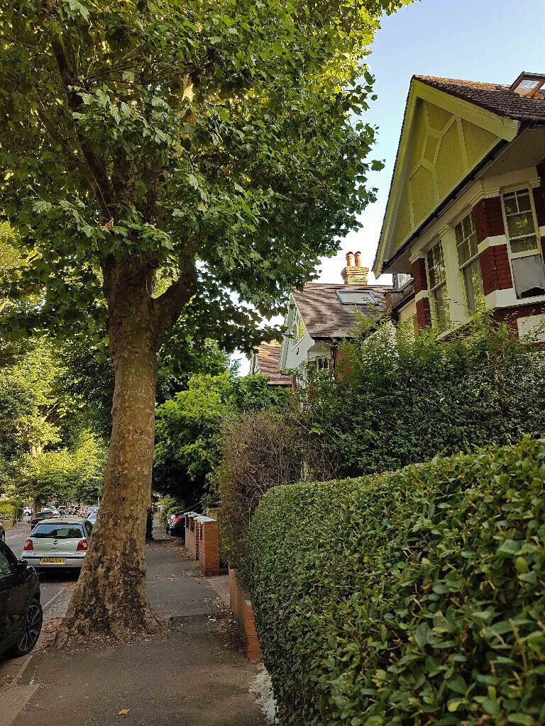 Top Notch Ayurvedic Massage Therapist Incall / Outcall! Acton, London