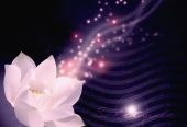Chinese Relaxing and Deep Tissue Massage Therapy