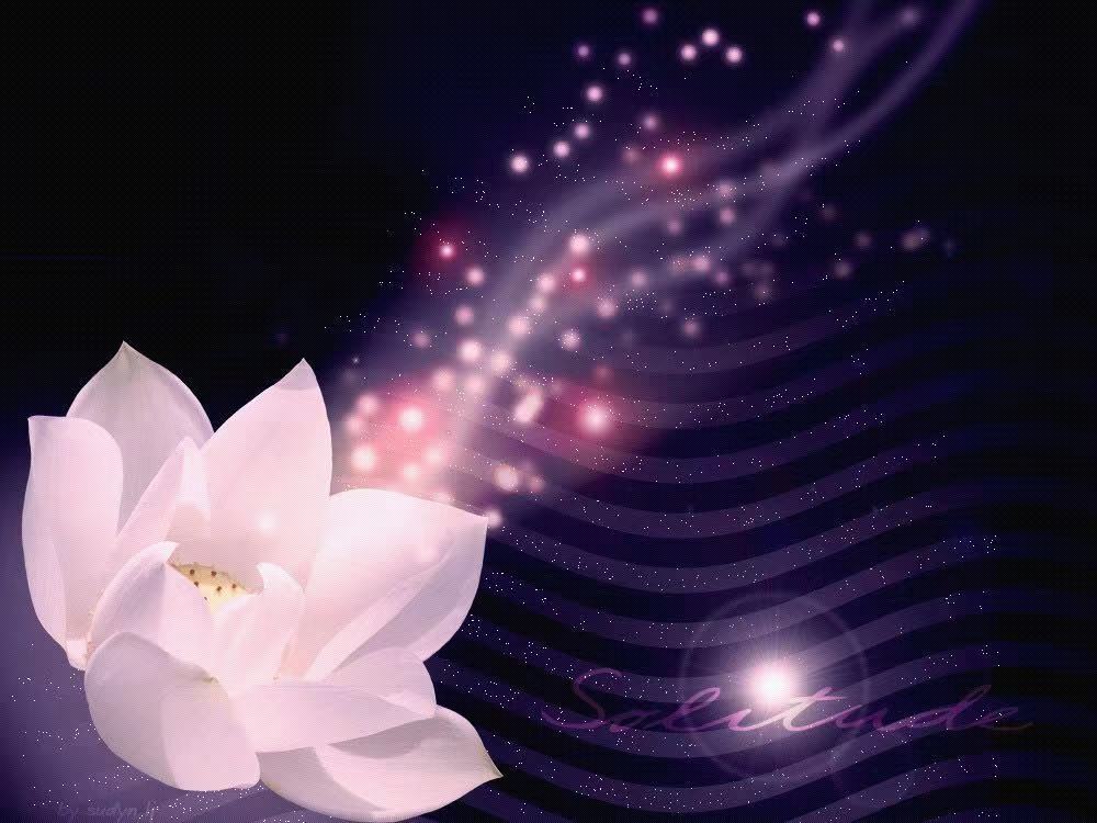 Chinese Relaxing and Deep Tissue Massage Therapy