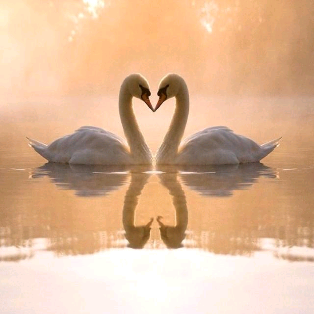 Karn Thai Massage Therapy & Waxing Services  - Leicester, Leicestershire