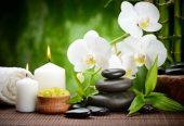 New Oriental Massage In Bowdon Altrincham, Manchester