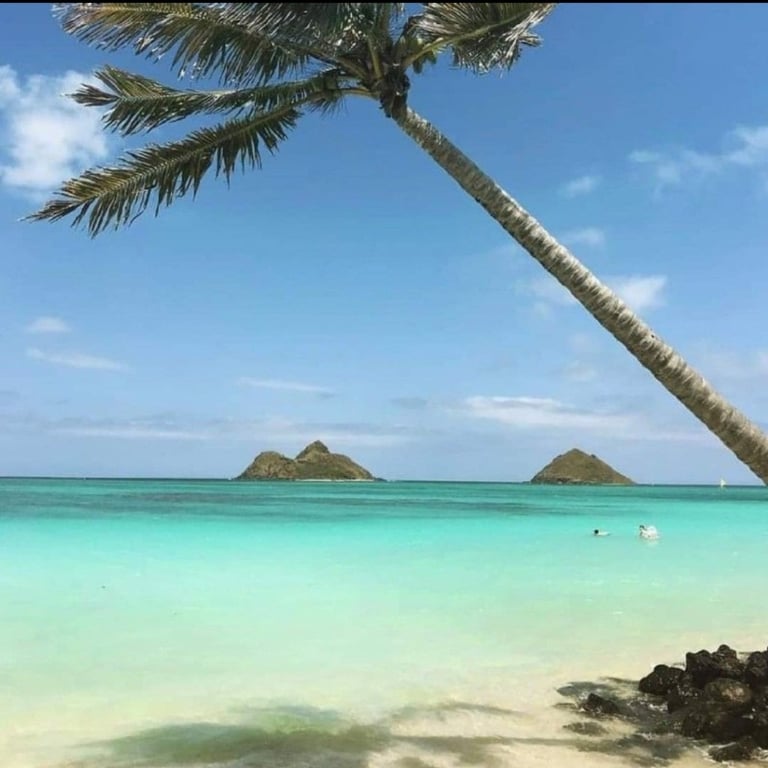 Anna - Professional Thai massage In Sherwood, Nottinghamshire