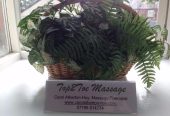 Top2Toe Massage With Carol Atherton-Hoy, Heaton Mersey, Withington, Didsbury, Stockport, Manchester