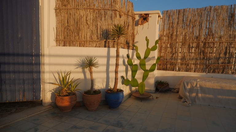 Full body Relaxing Massage - Fountain Park Haymarket, Edinburgh