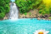 Best Massage In Crystal Palace - London