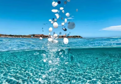 Screenshot-2024-04-25-091154