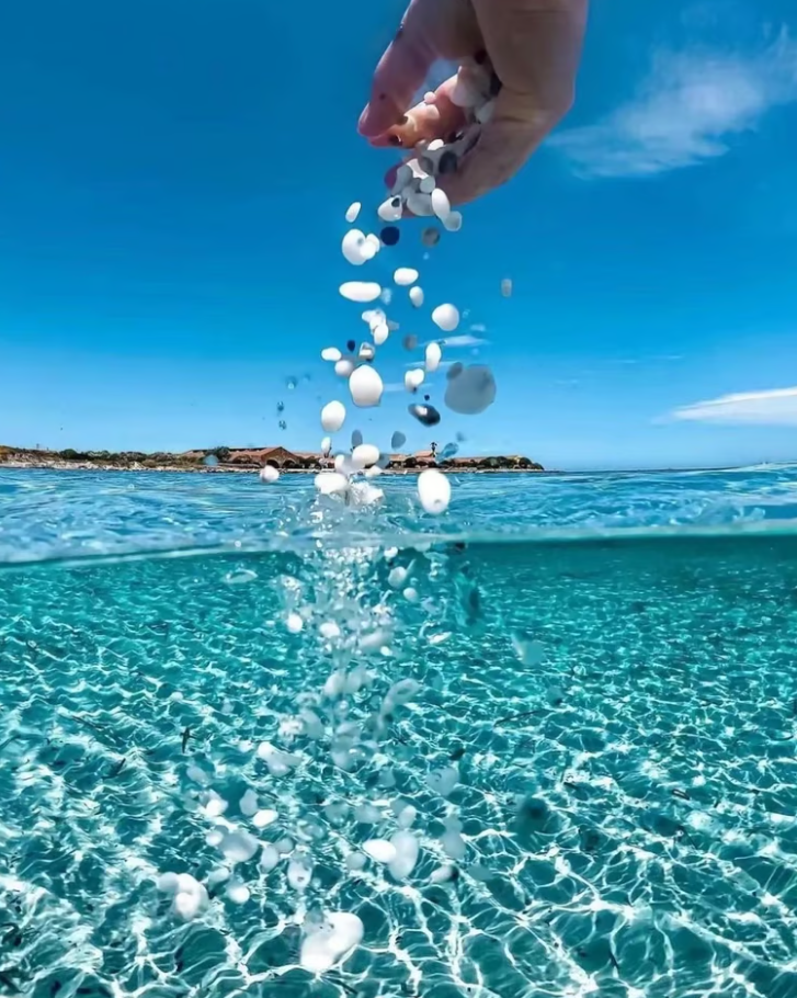 No.1 Professional Massage In Colchester, Essex