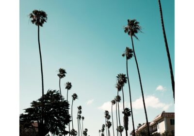 67afbdff2b0f3314083a07ca_981919180_10785-5