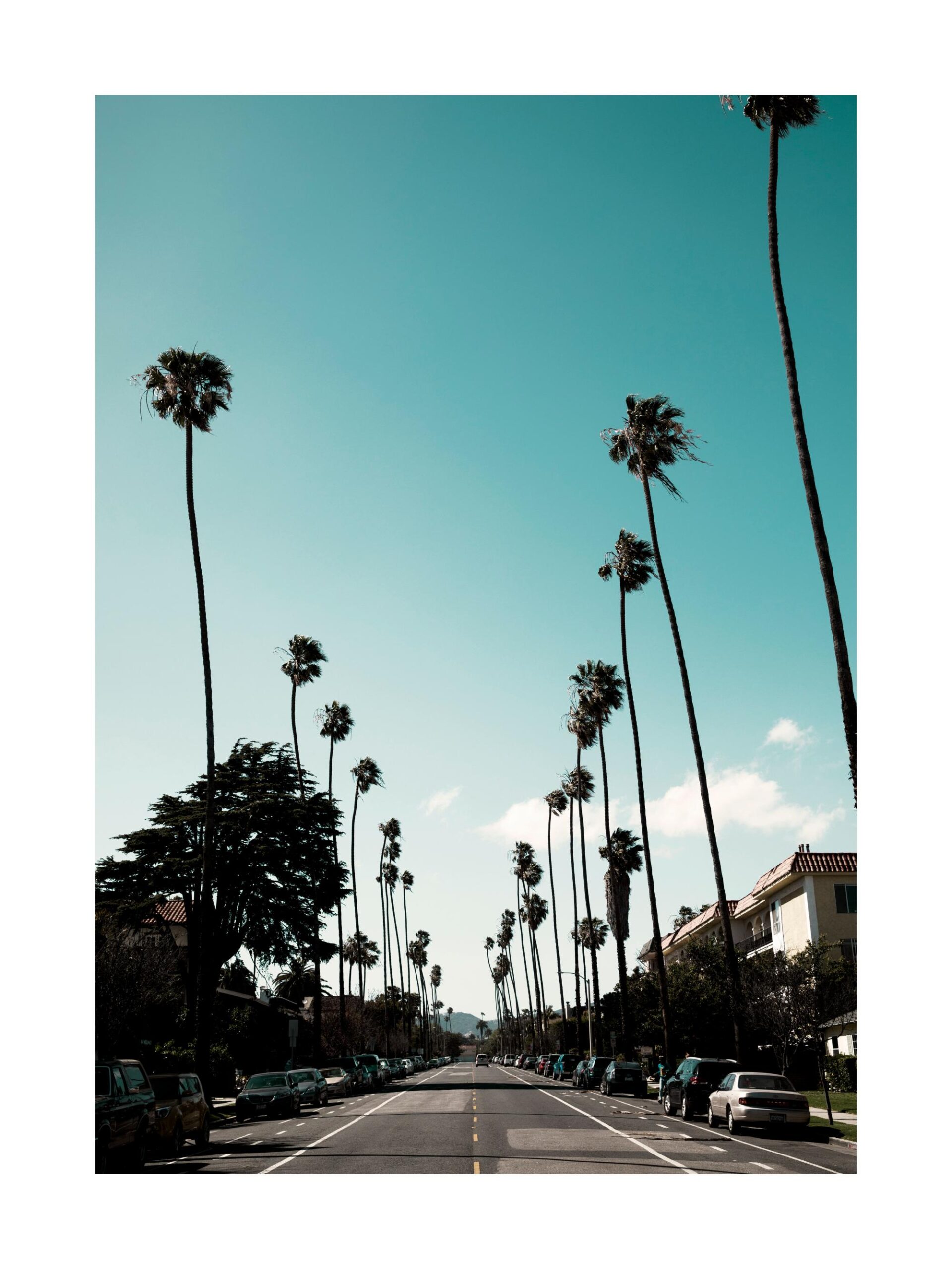 Hot Vegas Touch Couples Sensual Massage Las Vegas