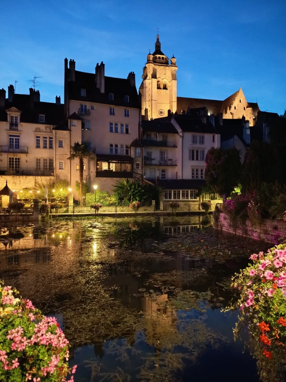 Elite Male-To-Male Massage Holistic Brilliant