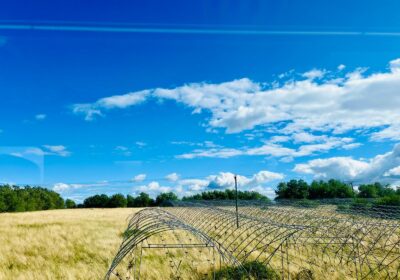 94164b9b-1e2c-4d06-a17a-9b10146ddd58